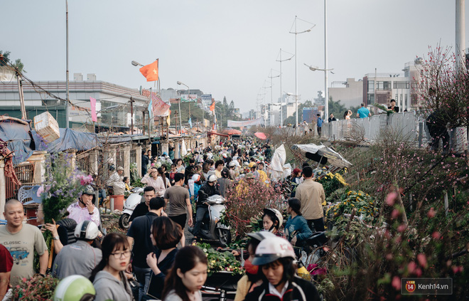 Tối 30 Tết, tiểu thương Hà Nội đập nát gốc quất, nhờ công nhân môi trường đem đốt chứ không muốn bán rẻ