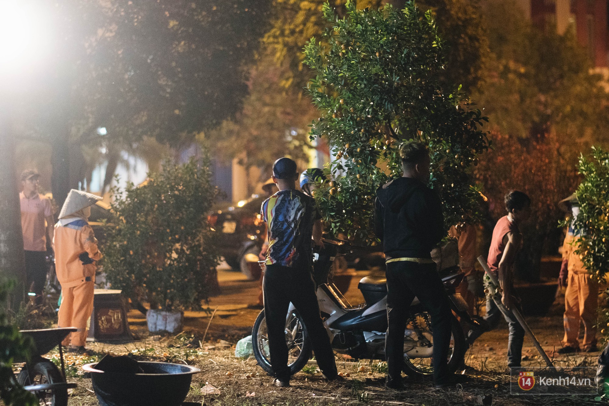 Tối 30 Tết, tiểu thương Hà Nội đập nát gốc quất, nhờ công nhân môi trường đem đốt chứ không muốn bán rẻ