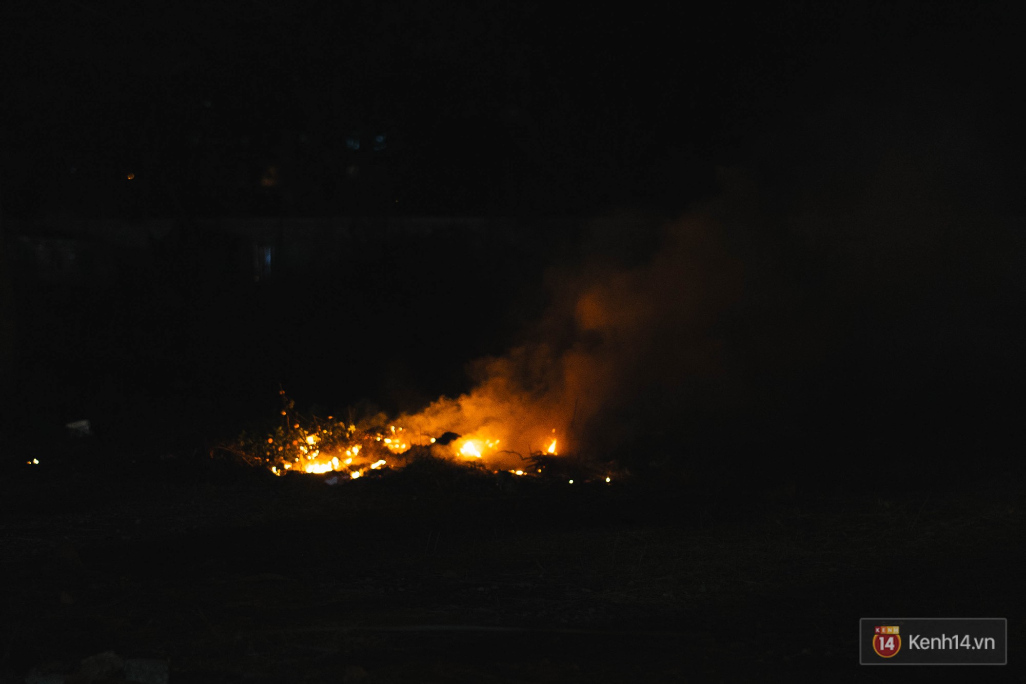 Tối 30 Tết, tiểu thương Hà Nội đập nát gốc quất, nhờ công nhân môi trường đem đốt chứ không muốn bán rẻ