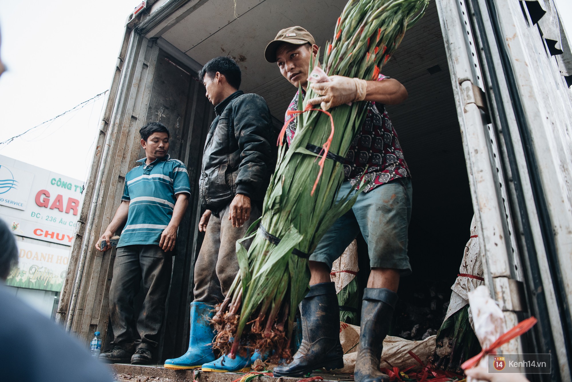 Tối 30 Tết, tiểu thương Hà Nội đập nát gốc quất, nhờ công nhân môi trường đem đốt chứ không muốn bán rẻ