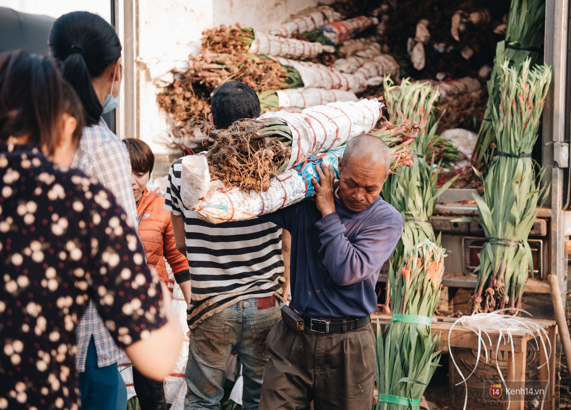 Tối 30 Tết, tiểu thương Hà Nội đập nát gốc quất, nhờ công nhân môi trường đem đốt chứ không muốn bán rẻ