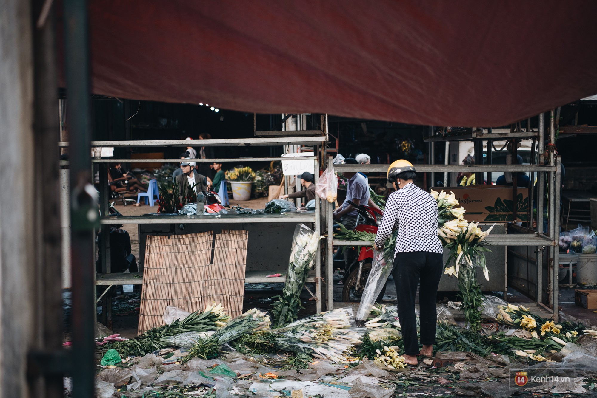 Tối 30 Tết, tiểu thương Hà Nội đập nát gốc quất, nhờ công nhân môi trường đem đốt chứ không muốn bán rẻ