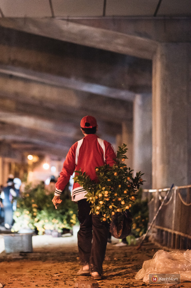 Tối 30 Tết, tiểu thương Hà Nội đập nát gốc quất, nhờ công nhân môi trường đem đốt chứ không muốn bán rẻ