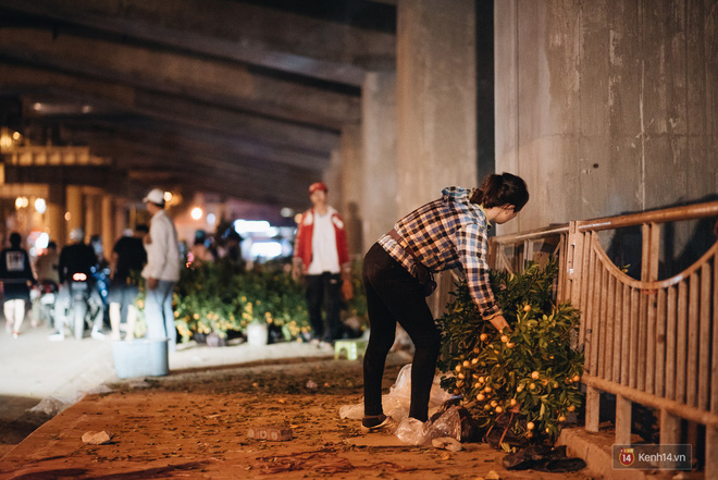 Tối 30 Tết, tiểu thương Hà Nội đập nát gốc quất, nhờ công nhân môi trường đem đốt chứ không muốn bán rẻ