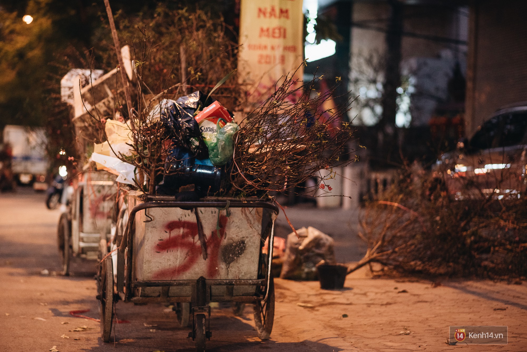Tối 30 Tết, tiểu thương Hà Nội đập nát gốc quất, nhờ công nhân môi trường đem đốt chứ không muốn bán rẻ