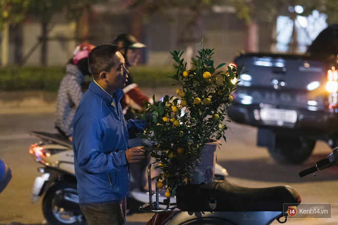 Tối 30 Tết, tiểu thương Hà Nội đập nát gốc quất, nhờ công nhân môi trường đem đốt chứ không muốn bán rẻ