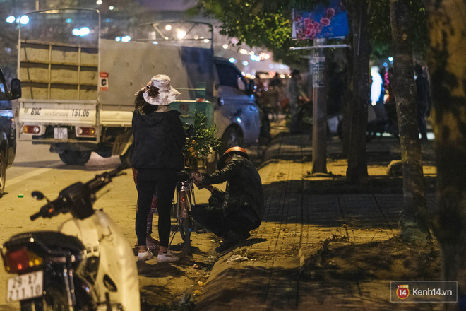 Tối 30 Tết, tiểu thương Hà Nội đập nát gốc quất, nhờ công nhân môi trường đem đốt chứ không muốn bán rẻ