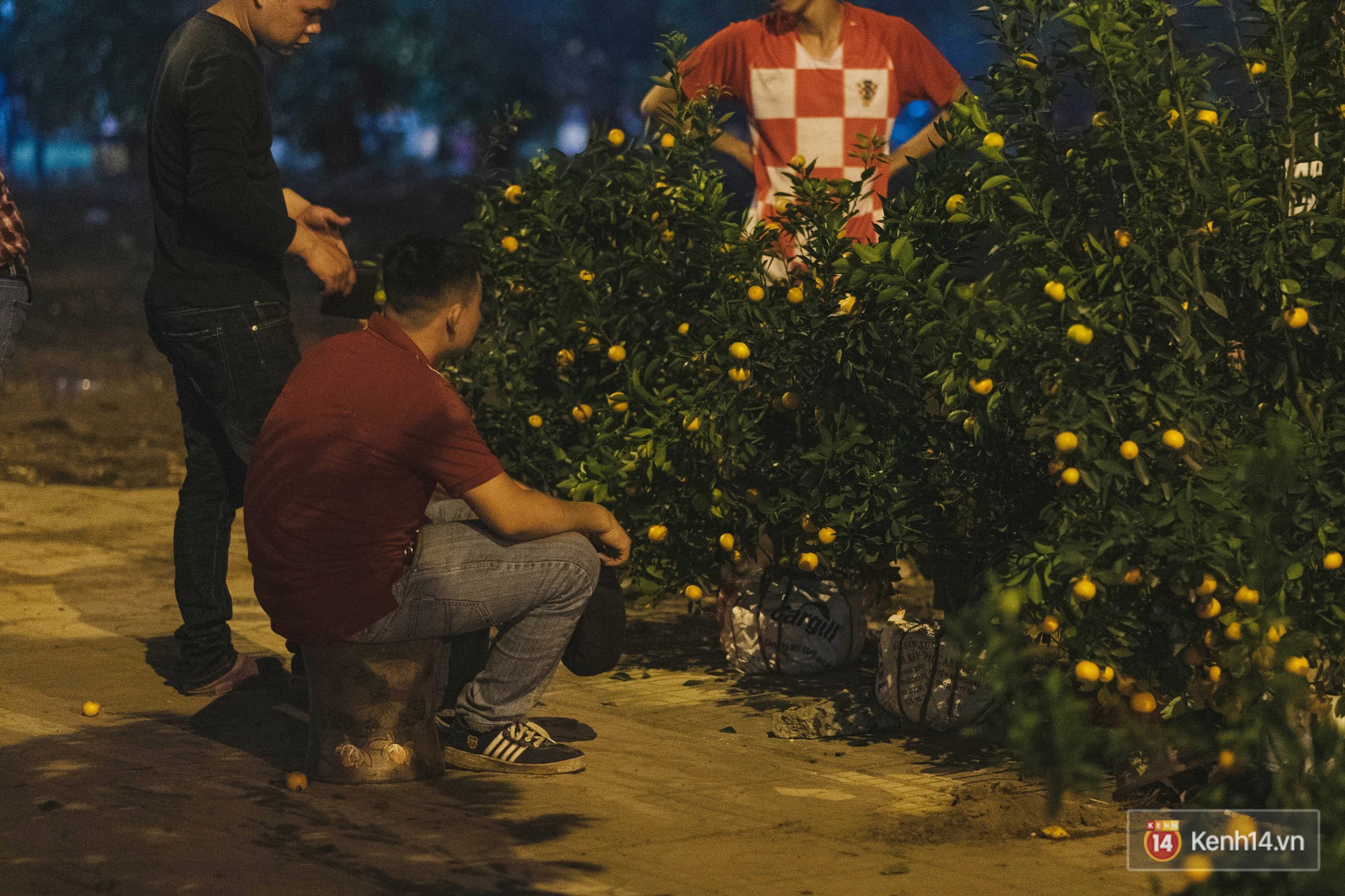 Tối 30 Tết, tiểu thương Hà Nội đập nát gốc quất, nhờ công nhân môi trường đem đốt chứ không muốn bán rẻ