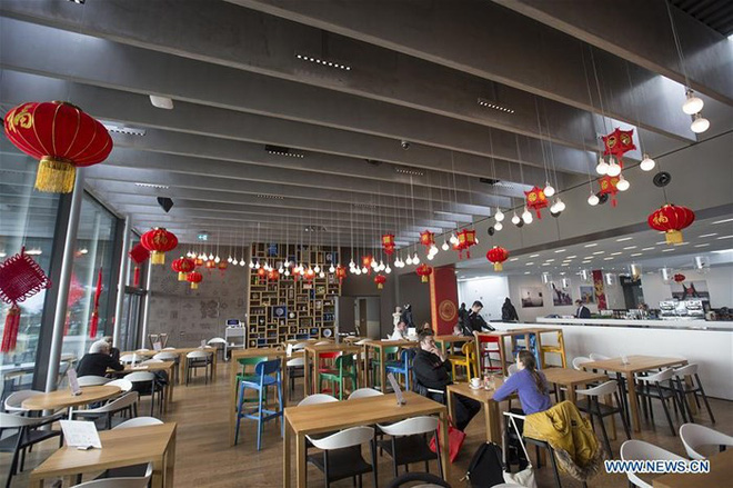 Không khí đón xuân Kỷ Hợi trên khắp thế giới