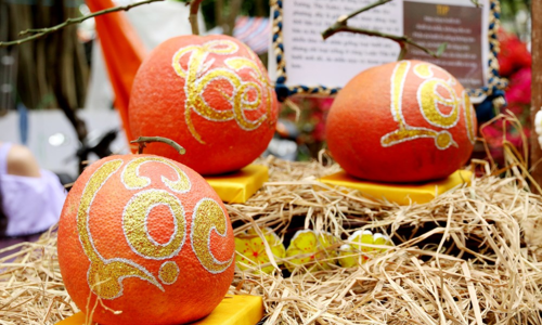 Kiếm tiền triệu mỗi ngày nhờ viết thư pháp trên trái cây