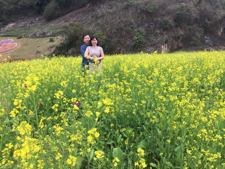 Giới trẻ tấp nập đổ về cao nguyên Mộc Châu du xuân Kỷ Hợi 2019