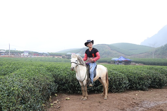 Giới trẻ tấp nập đổ về cao nguyên Mộc Châu du xuân Kỷ Hợi 2019