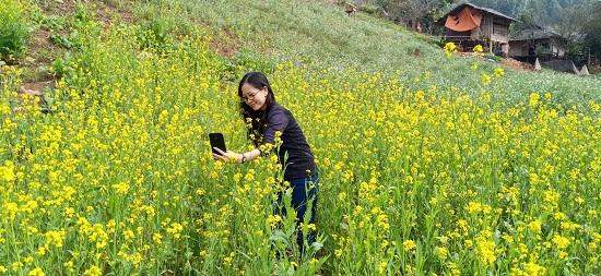 Giới trẻ tấp nập đổ về cao nguyên Mộc Châu du xuân Kỷ Hợi 2019