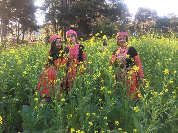 Giới trẻ tấp nập đổ về cao nguyên Mộc Châu du xuân Kỷ Hợi 2019