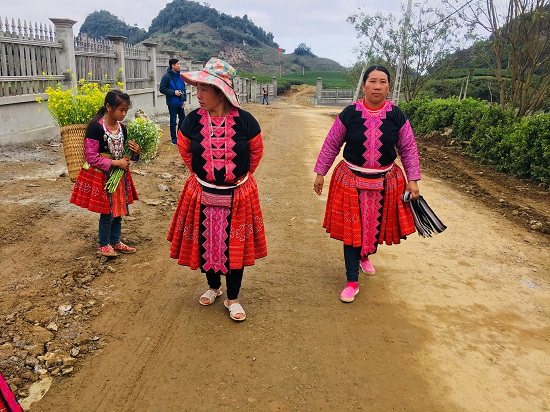 Giới trẻ tấp nập đổ về cao nguyên Mộc Châu du xuân Kỷ Hợi 2019