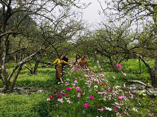 Giới trẻ tấp nập đổ về cao nguyên Mộc Châu du xuân Kỷ Hợi 2019