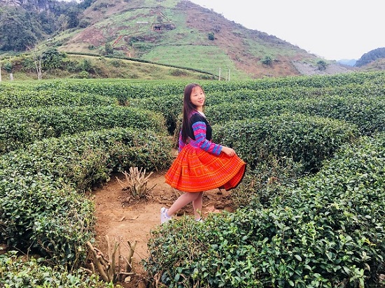 Giới trẻ tấp nập đổ về cao nguyên Mộc Châu du xuân Kỷ Hợi 2019 Giới trẻ tấp nập đổ về cao nguyên Mộc Châu du xuân Kỷ Hợi 2019