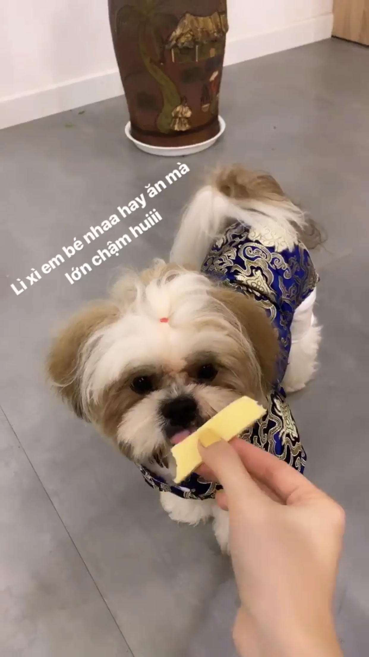 Hotboy, hotgirl Việt háo hức chia sẻ những khoảnh khắc đầu tiên của năm 2019