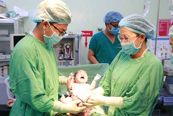 Những heo vàng đầu tiên chào đời năm Kỷ Hợi