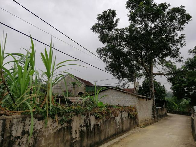 Cha của nghi phạm sát hại tài xế taxi ở Hà Nội cay đắng nói về đứa con biền biệt 2 năm không liên lạc