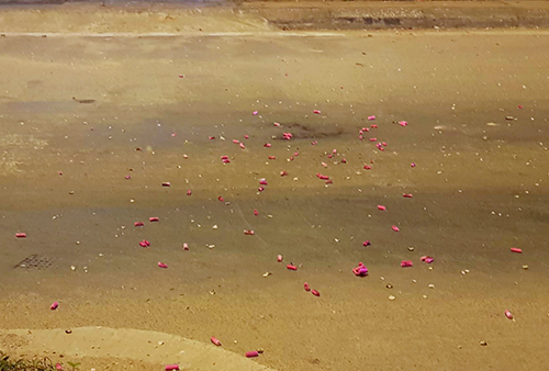 Xác pháo vương vãi trên quốc lộ ở Hà Tĩnh