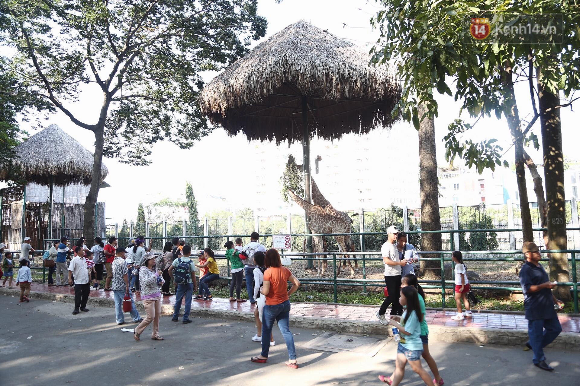 Ảnh: Người dân trải bạt, ngồi ăn uống đông nghẹt trong Thảo Cầm Viên dịp đầu năm mới