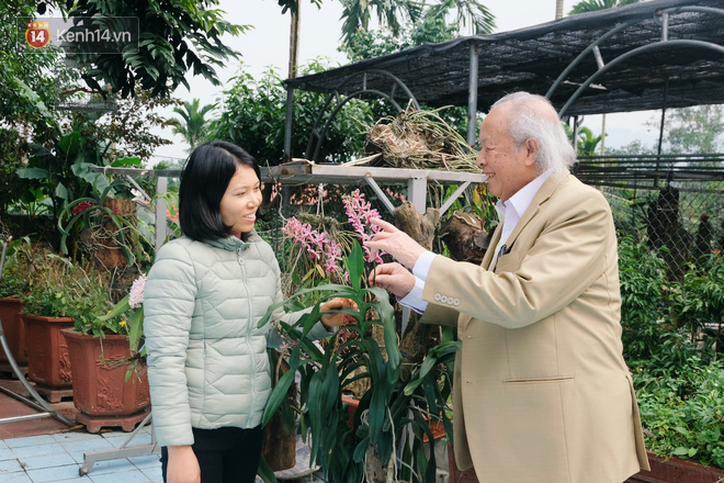 Cái Tết thứ 11 đầm ấm của cặp vợ chồng ông cháu lệch nhau 50 tuổi ở Hà Nội: Tôi thích lan và anh ấy trồng cả vườn hoa lan sau nhà