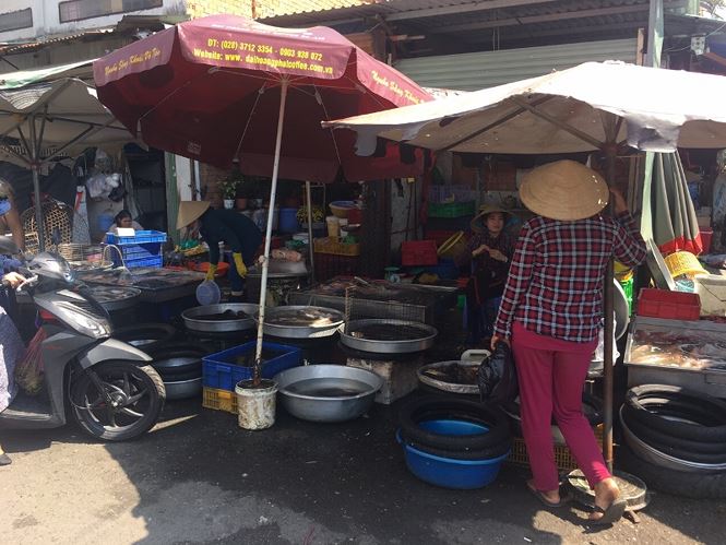 Mùng 4 Tết: Siêu thị vắng hoe, hải sản chợ cóc tăng giá gấp đôi