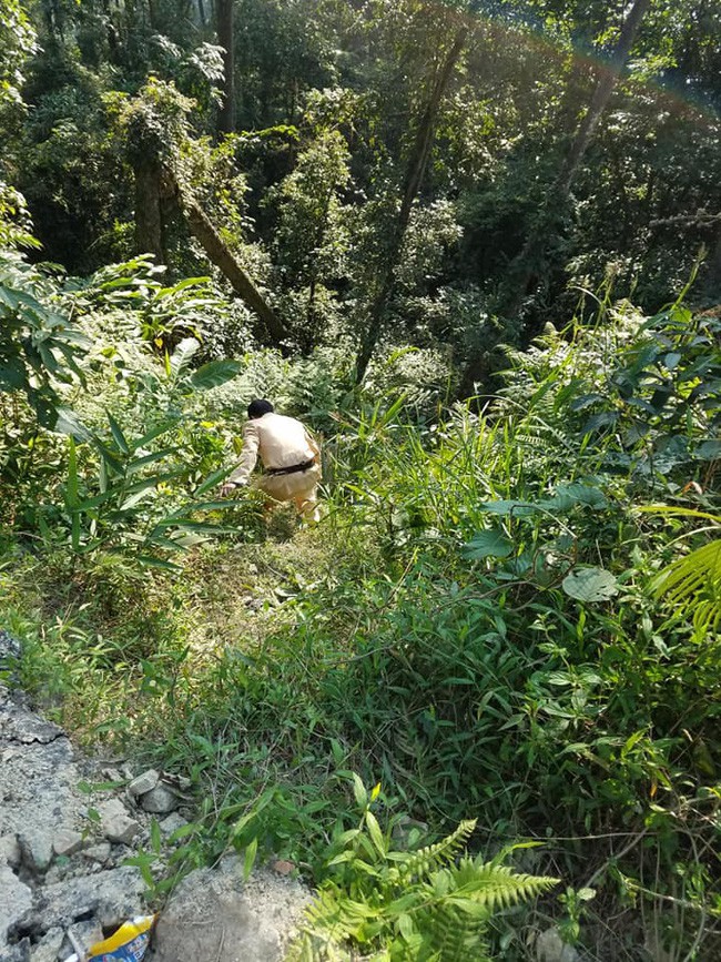 Đang tìm kiếm đôi nam nữ mất tích sau khi lao xuống vực ở Tam Đảo Đang tìm kiếm đôi nam nữ mất tích sau khi lao xuống vực ở Tam Đảo