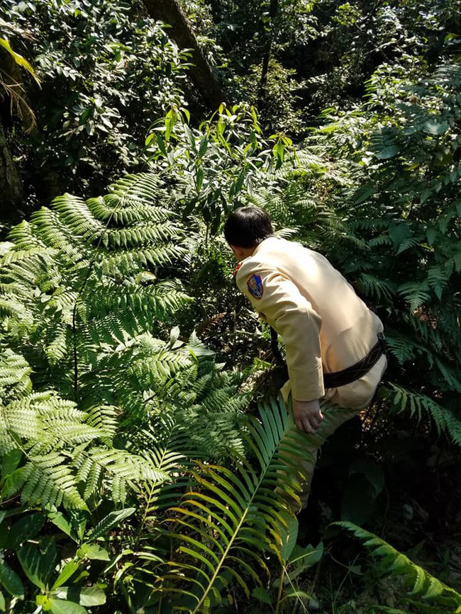 Đang tìm kiếm đôi nam nữ mất tích sau khi lao xuống vực ở Tam Đảo Đang tìm kiếm đôi nam nữ mất tích sau khi lao xuống vực ở Tam Đảo