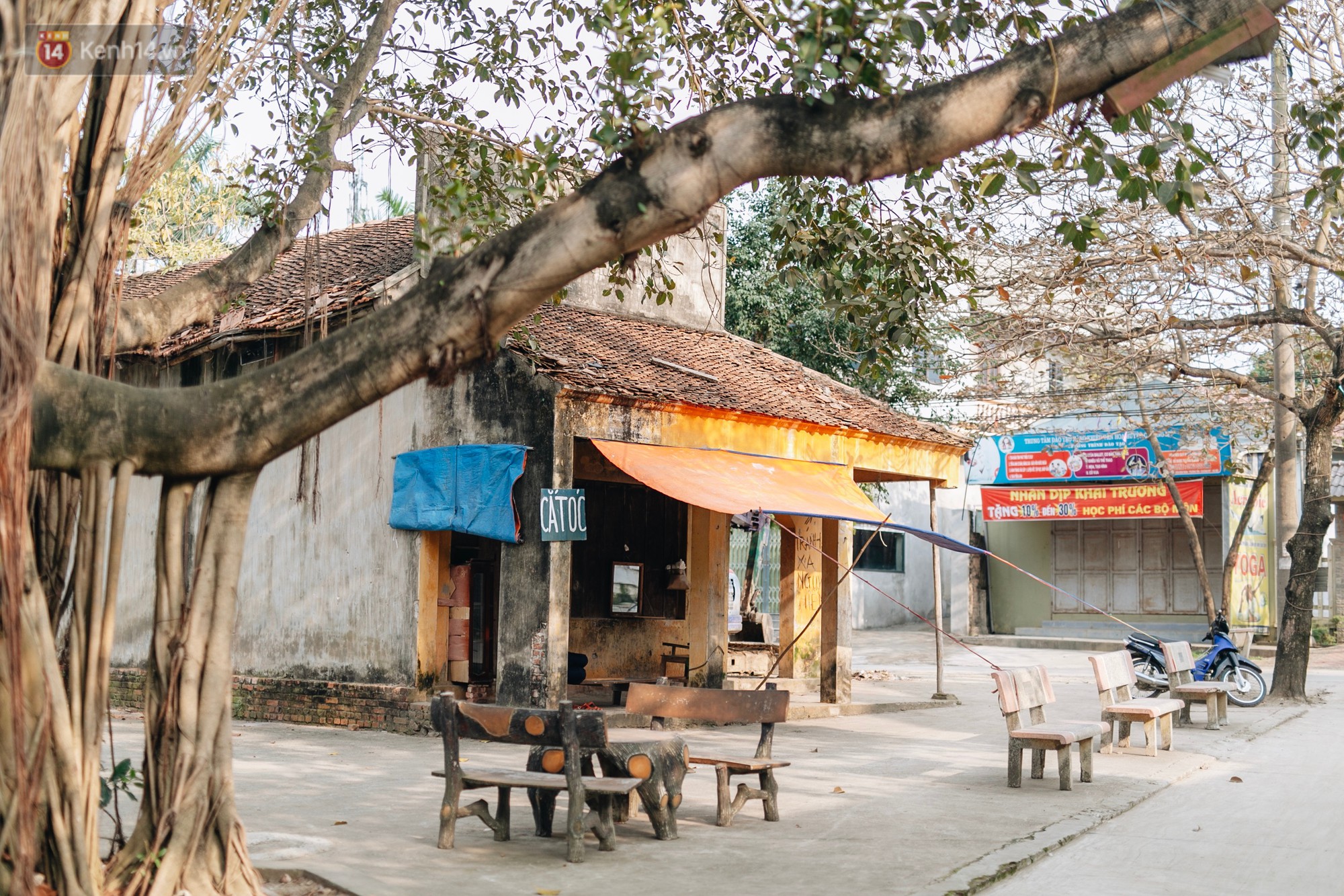 Về thăm ngôi làng ở Hà Nội ăn cả tấn thịt chó vào mùng 4 Tết hàng năm: Không ép bất cứ ai nếu họ không muốn ăn