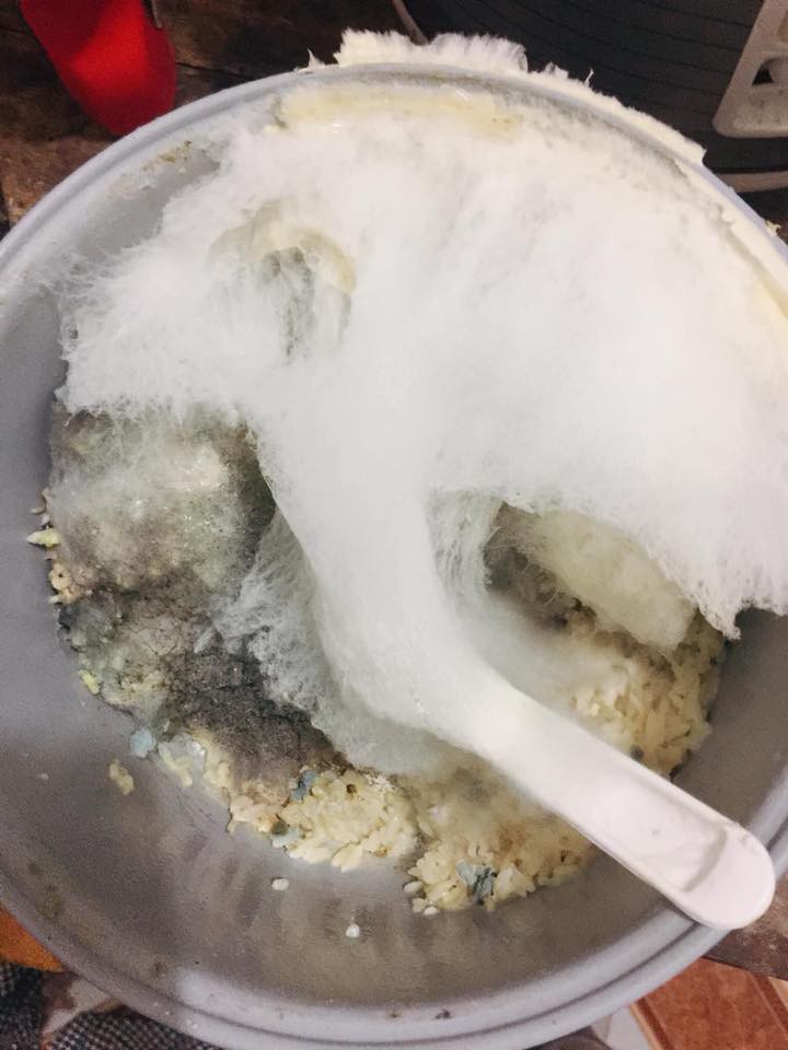 Quay lại phòng trọ sau Tết, dân tình khóc thét vì bỏ quên nồi cơm điện lên mốc meo