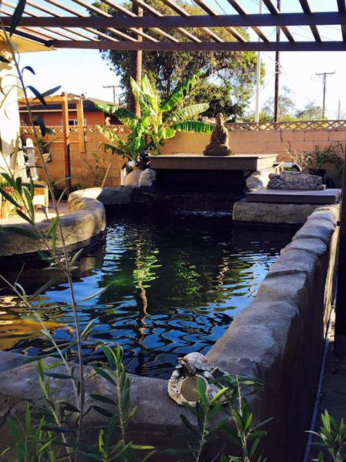 Biệt thự của Đàm Vĩnh Hưng và các nghệ sĩ Việt tại Mỹ