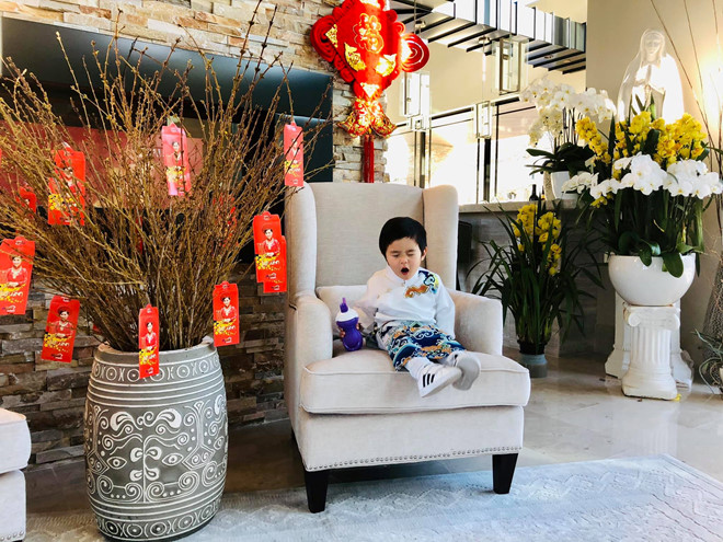 Biệt thự của Đàm Vĩnh Hưng và các nghệ sĩ Việt tại Mỹ