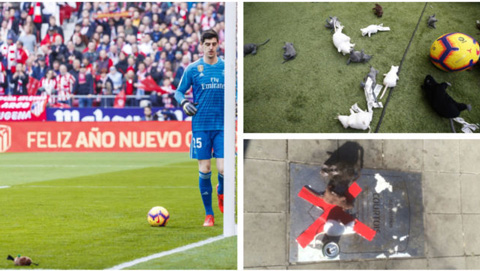 Tấm bia vinh danh Courtois bị CĐV Atletico phỉ nhổ