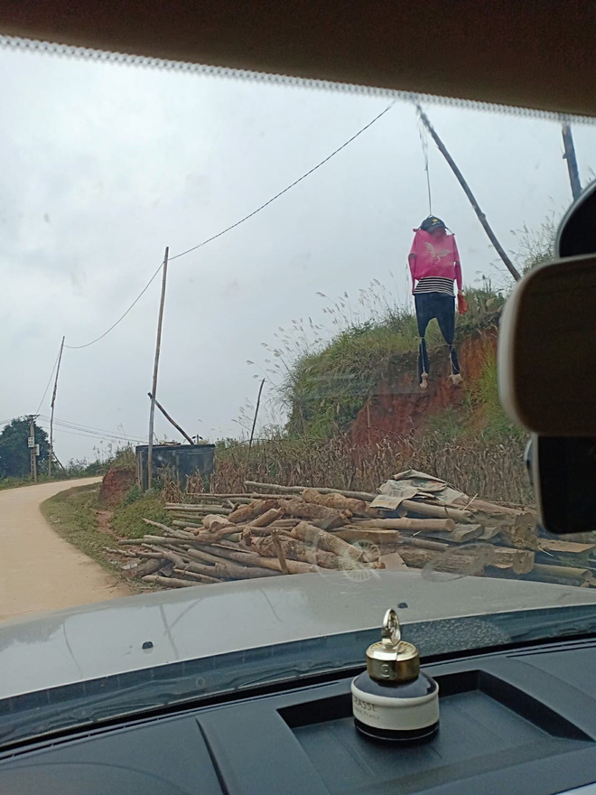 Đang lái xe, tài xế hãi hùng khi chứng kiến cảnh tượng không thể tin trước mắt