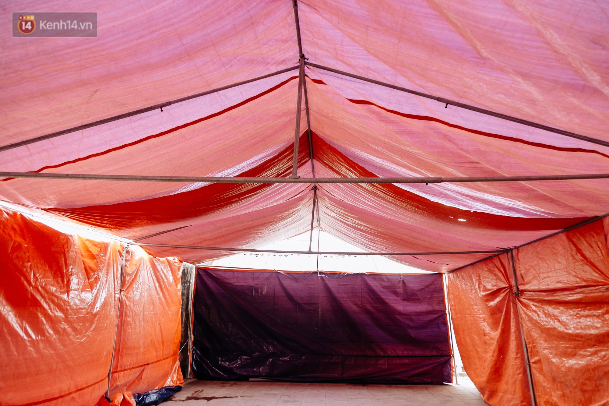 Video: Hàng trăm người dân tập trung chứng kiến nghi lễ chém lợn kín ngày đầu năm, máu 2 ông Ỉn chảy lênh láng