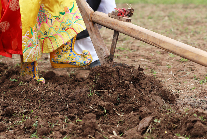 Video - Ảnh: Phó thủ tướng xuống đồng trong lễ hội Tịch điền