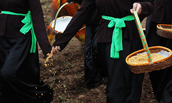 Video - Ảnh: Phó thủ tướng xuống đồng trong lễ hội Tịch điền