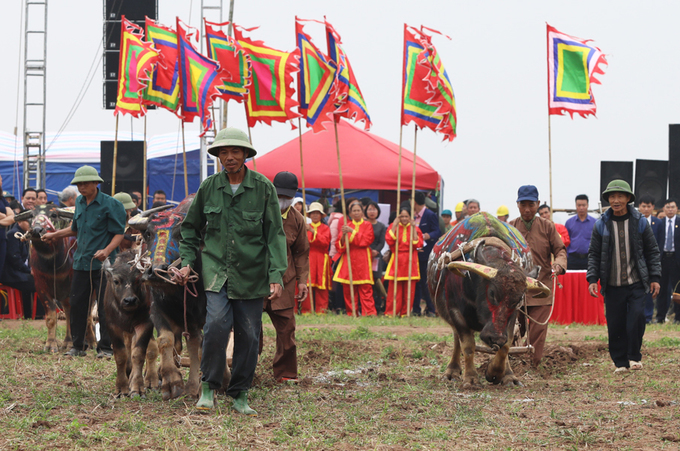 Video - Ảnh: Phó thủ tướng xuống đồng trong lễ hội Tịch điền