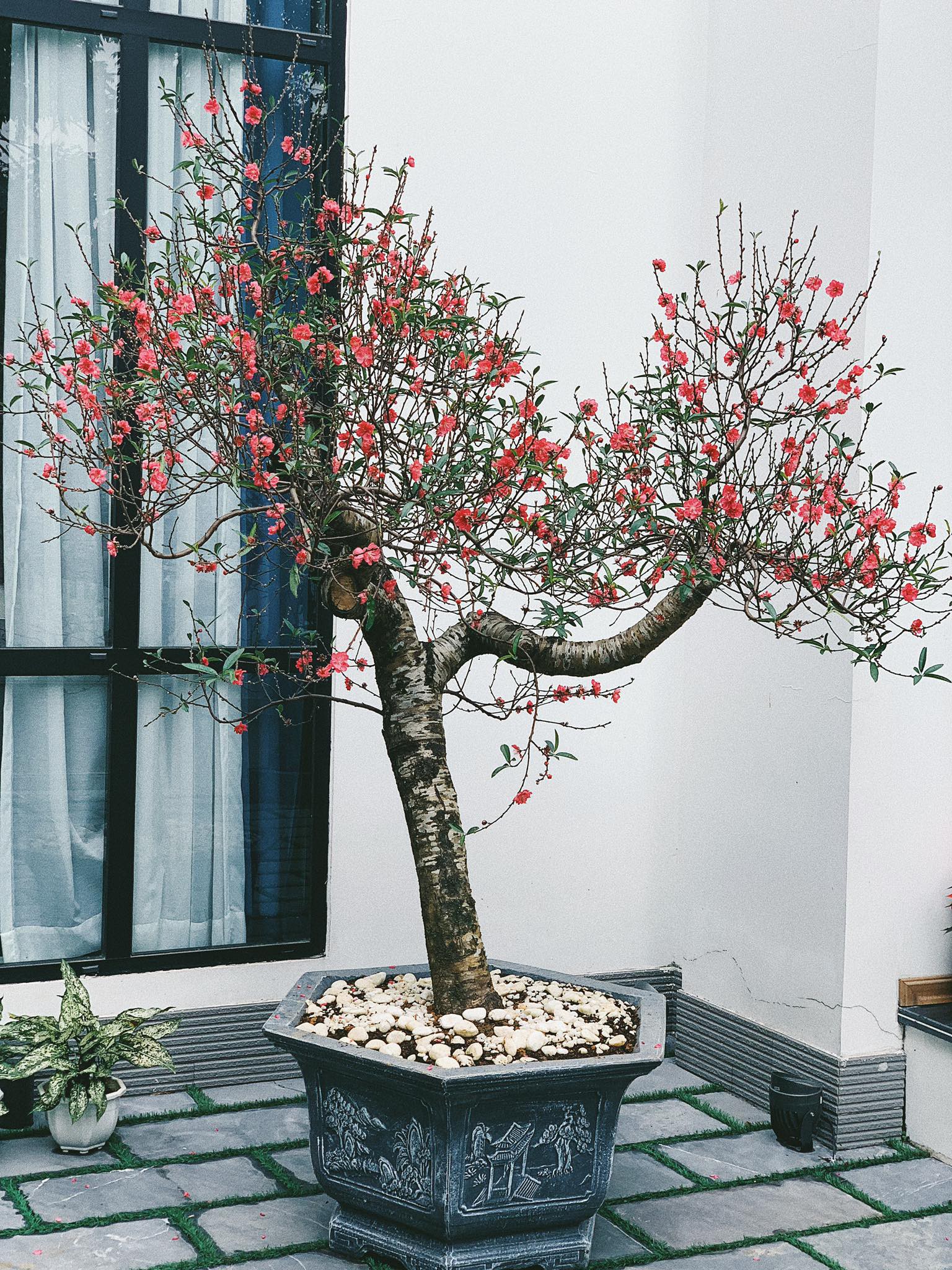 Sướng như Á hậu Tú Anh: Nàng dâu mới mà ngày Tết vẫn thảnh thơi đi chơi, tụ tập bạn bè nhậu nhẹt tới bến