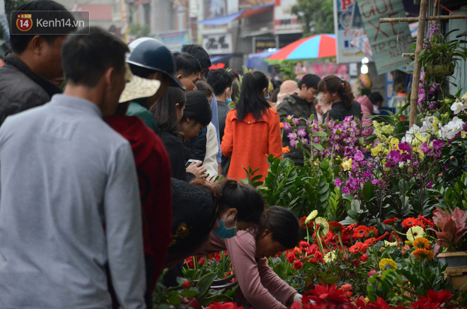 Hàng vạn người đổ về chợ Viềng khiến đường tắc hàng km, ai cũng lựa mua chậu hoa, cây cảnh lấy may đầu năm