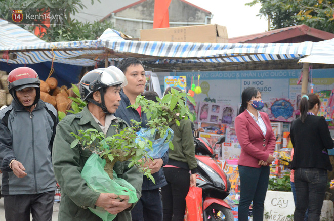 Hàng vạn người đổ về chợ Viềng khiến đường tắc hàng km, ai cũng lựa mua chậu hoa, cây cảnh lấy may đầu năm Hàng vạn người đổ về chợ Viềng khiến đường tắc hàng km, ai cũng lựa mua chậu hoa, cây cảnh lấy may đầu năm