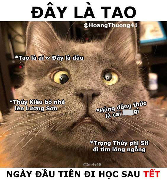 Ảnh chế hậu quả phũ phàng sau một mùa Tết thả phanh bất chấp Ảnh chế hậu quả phũ phàng sau một mùa Tết thả phanh bất chấp