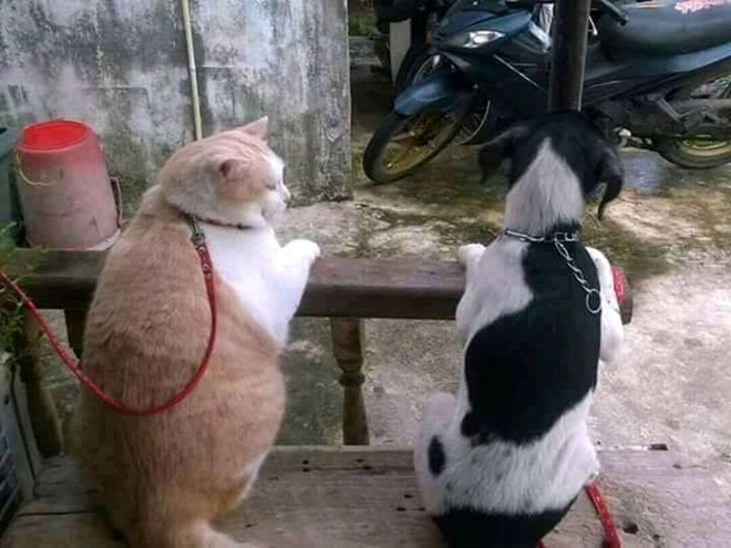 Ảnh chế hậu quả phũ phàng sau một mùa Tết thả phanh bất chấp Ảnh chế hậu quả phũ phàng sau một mùa Tết thả phanh bất chấp