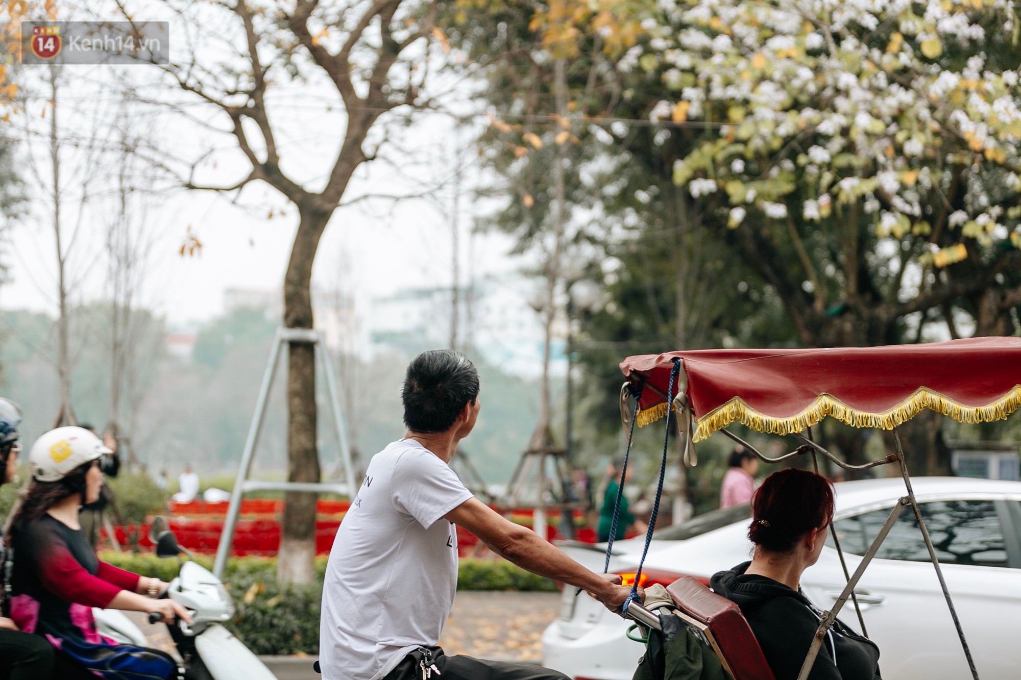 Hà Nội đẹp đến nao lòng mùa cây thay lá, màu vàng nên thơ phủ khắp phố phường