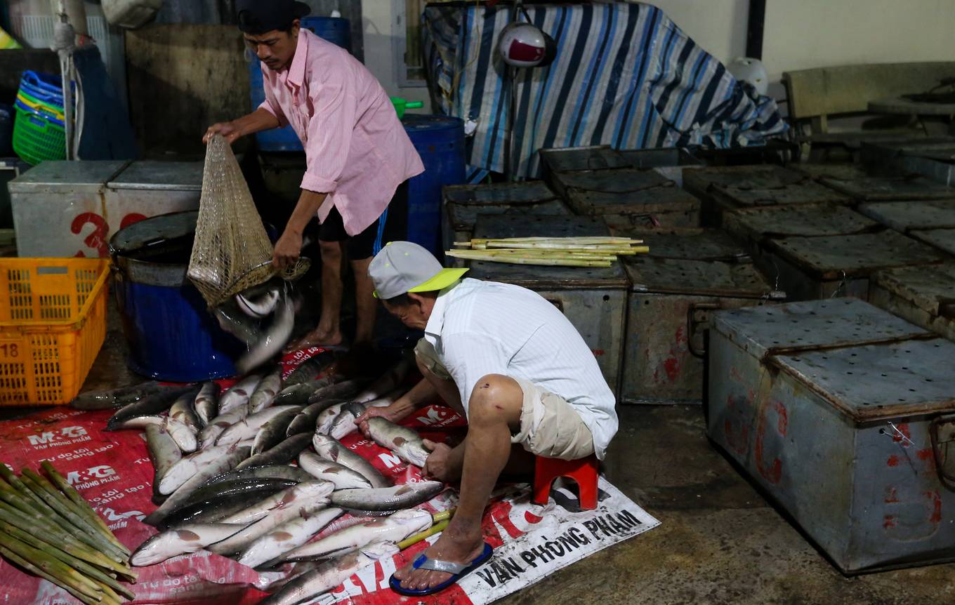 Video ảnh: Trắng đêm nướng hàng tấn cá lóc cho ngày vía Thần tài ở Sài Gòn