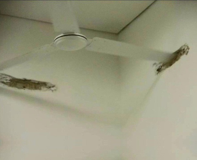 Tổng hợp 20 lỗi thiết kế rơi vào góc chết khiến người sử dụng phát điên