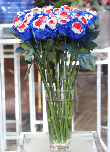 Hoa hồng tam sắc đắt khách ngày Valentine