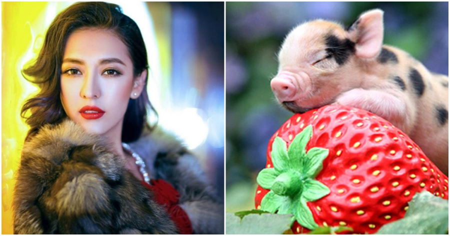 Chia buồn với 3 con giáp gặp ĐẠI HẠN trong tháng giêng âm lịch này, chạy đằng trời cũng không thoát được số kiếp